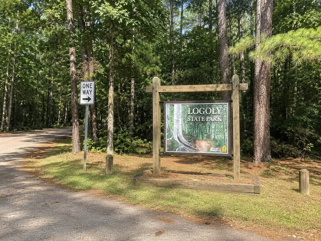 Logoly State Park near Blanchard, Louisiana